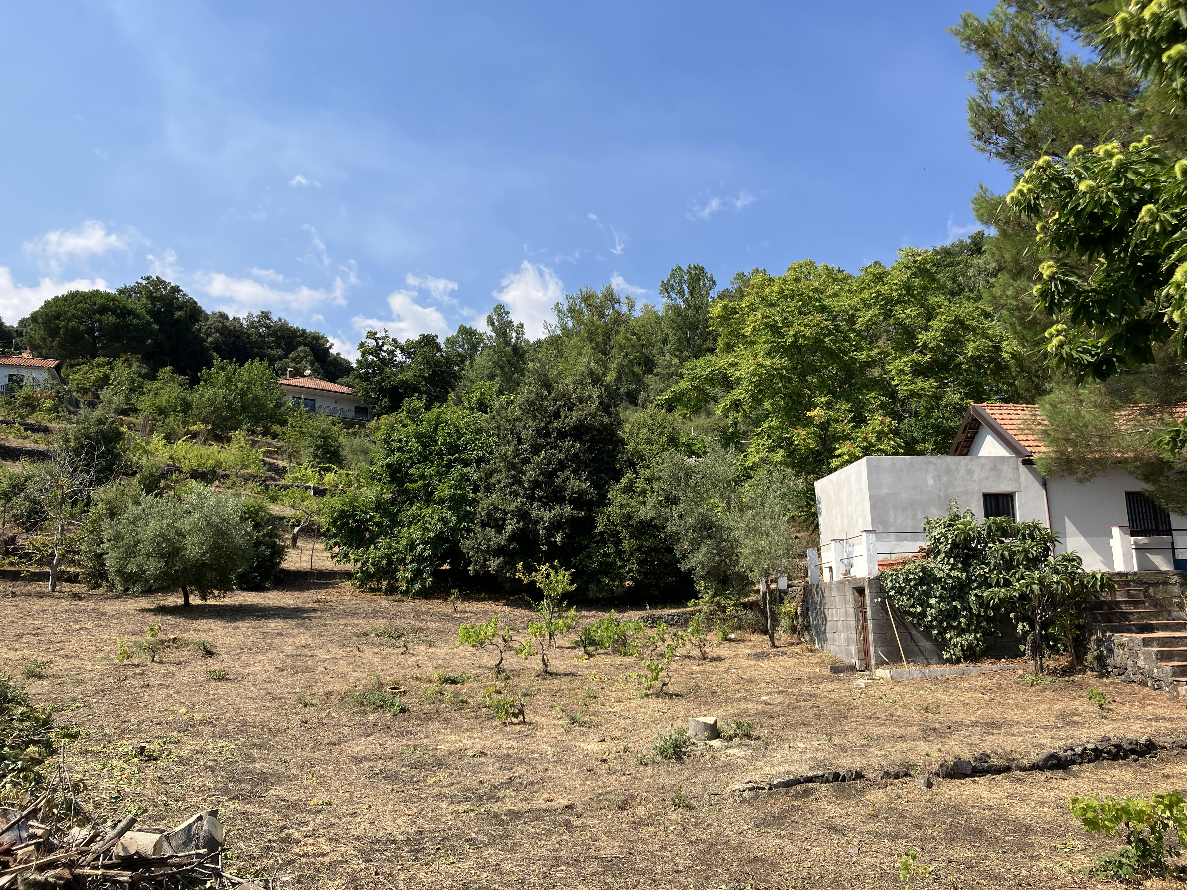 The stone cottage on its hillside among the olives and vines before the work began