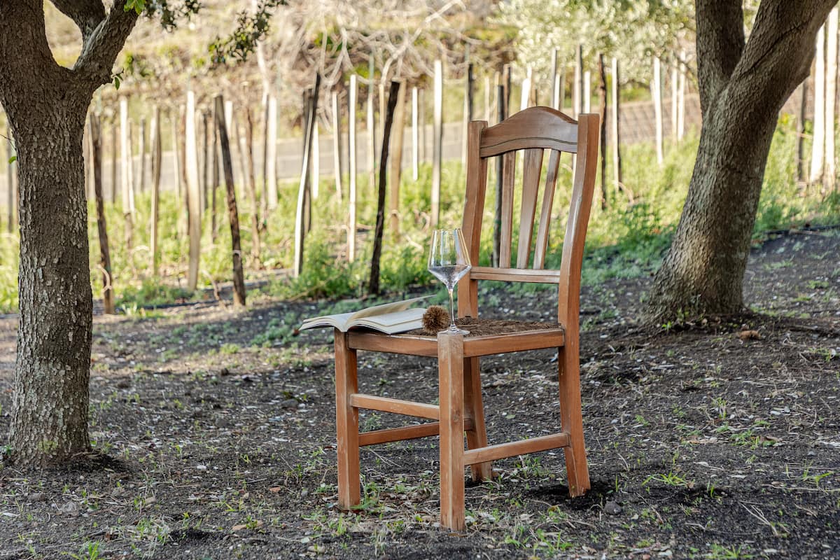 Vineyard reading spot with wine